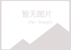 大关县沛文工程有限公司